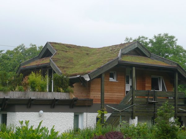 Poševna streha Braslovče