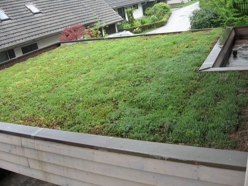 Zelena streha